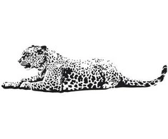 Interjero lipdukas Leopardas 170x50cm