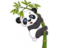Interjero lipdukas Panda ant bambuko 60x80cm