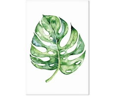 Paveikslas Akvarelinė monstera