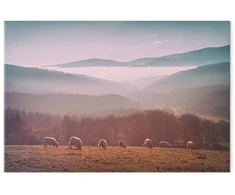 Paveikslas Avys kalnų peizaže