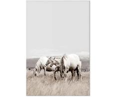 Paveikslas Balti žirgai