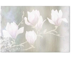 Paveikslas Baltos magnolijos