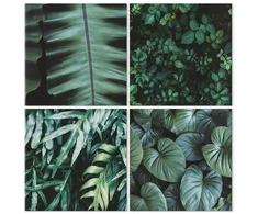 Paveikslas Botaninė gelmė