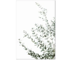 Paveikslas Eukaliptas Parvifolia