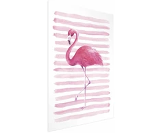 Paveikslas - Flamingas ir juostos