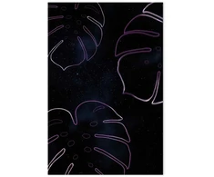 Paveikslas Galaktinė Monstera