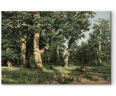 Paveikslas Ivan Shishkin - Ąžuolų miškas