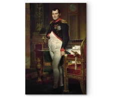 Paveikslas Jacques Louis David - Napoleonas Bonapartas
