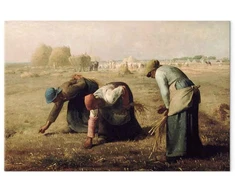 Paveikslas Jean François Millet - Rinkėjos