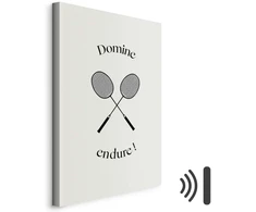 Paveikslas Juodos badmintono raketės