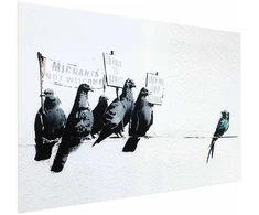 Paveikslas - Ksenofobiški balandžiai