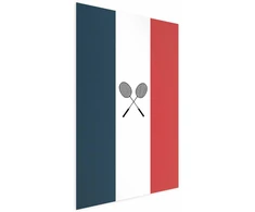 Paveikslas - Prancūzijos vėliavos ir juodos badmintono raketės
