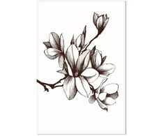 Paveikslas Renesanso magnolijos