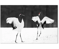 Paveikslas Šokančios gervės
