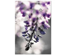 Paveikslas Violetinis skambutis