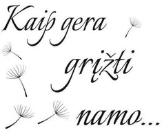 Sienų lipdukas Kaip gera grįžti namo 2