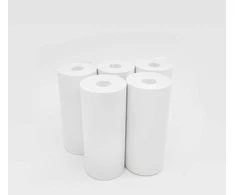 Easypix InstantFUN 5x terminio spausdinimo popieriaus ritinėliai
