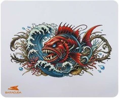 Baracuda BGMP-041 Coral 300x250
