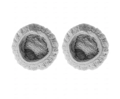 Mamibot W110-T Pilkas Pads