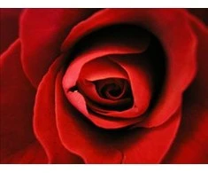 Medisana Aroma essence Rose