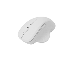 Pelė Sbox WM-549 Baltas