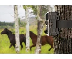 SJCAM Fotopułapka M50 Brązowa