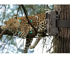 SJCAM Fotopułapka M50 Zielona
