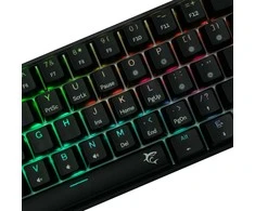 Klaviatūra White Shark Baltas Shark Shinobi-2 juodas ruda switch