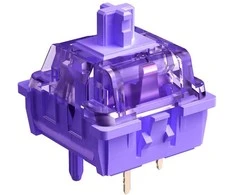 White shark Baltas Shark Baltas Shark Purplepulse Mechaninė Switches 65 pcs.