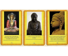 Agm Osho Decouvrez Bouddha French Edition Kortos