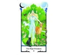 AGM Tarot Of The Old Path Kortos