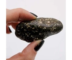 Ancient Wisdom Guinea Fowl Large (6 Vnt. L Dydžio)