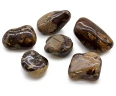 Ancient Wisdom Jasper Nguni (6 Vnt. L Dydžio)