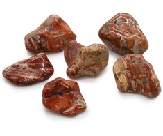 Ancient Wisdom Light Jasper - Brecciated Akmuo (6 Vnt. L Dydžio)