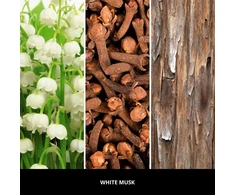 Uzupełniacz do pałeczek 250ml Baltas MUSK MILLEFIORI