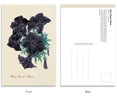 Adams Media The Goth Garden: Dark Blooms – 50 gotikinių botaninių atvirukų rinkinys