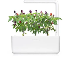 Augalų Kapsulė - Click &amp; Grow Violetinė Chili Pepper 3 Vnt.