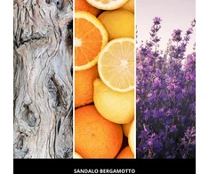 Car Air Freshener Oranžinis SANDALO BERGAMOTTO MILLEFIORI