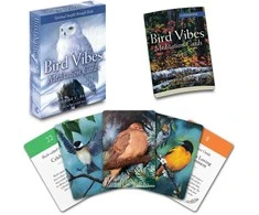 Beyond Words Meditacijos Kortos Bird Vibes Beyond Woords