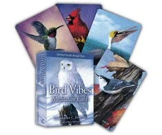 Beyond Words Meditacijos Kortos Bird Vibes Beyond Woords