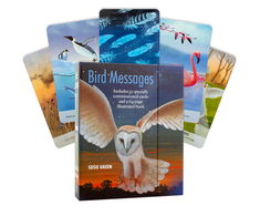 Bird Messages Kortos Cico Books