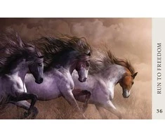 Blue Angel Mėlyna Angel Mėlyna Angel Horse Wisdom Oracle Kortos