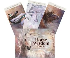 Blue Angel Mėlyna Angel Mėlyna Angel Horse Wisdom Oracle Kortos