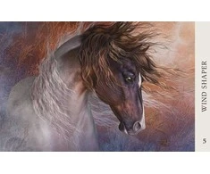 Blue Angel Mėlyna Angel Mėlyna Angel Horse Wisdom Oracle Kortos
