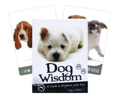 Blue Angel Mėlyna Angel Mėlyna Angel Inspirational Kortos Dog Wisdom
