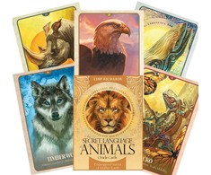 Blue Angel Mėlyna Angel Mėlyna Angel The Secret Language Of Animals Oracle Kortos
