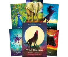 Blue Angel Mėlyna Angel Mėlyna Angel Wild Dreams Animal Oracle Kortos