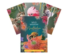 Blue Angel Mėlyna Angel Mėlyna Angel Wild Wisdom Australia Oracle Kortos
