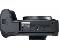 Canon EOS R8 + RF 800mm f/11 IS STM