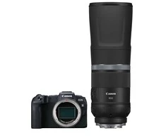 Canon EOS RP + RF 800mm f/11 IS STM